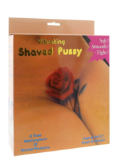 Вибровагина Shaved Pussy - 1