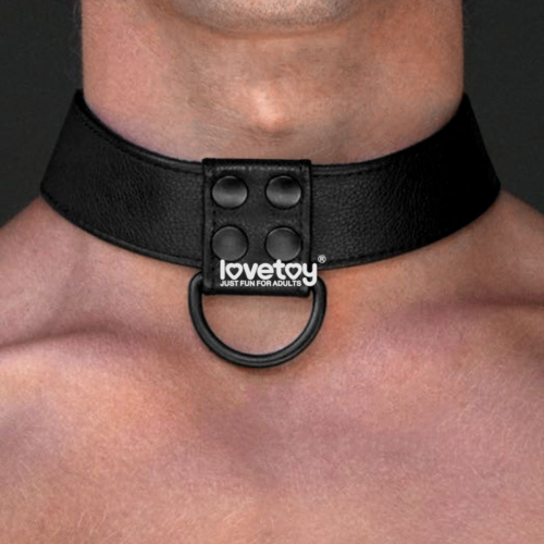 Черный ошейник Bondage Fetish Black Matt Collar With Leash с цепочкой-поводком - 4