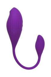 Фиолетовый вакуумный стимулятор клитора Ginny с виброяйцом - 3