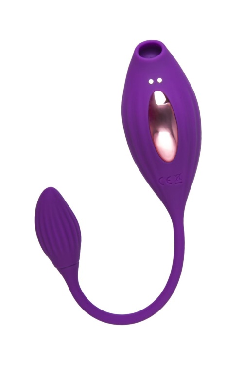 Фиолетовый вакуумный стимулятор клитора Ginny с виброяйцом - 2