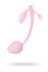 Розовый вагинальный шарик Aster - 1