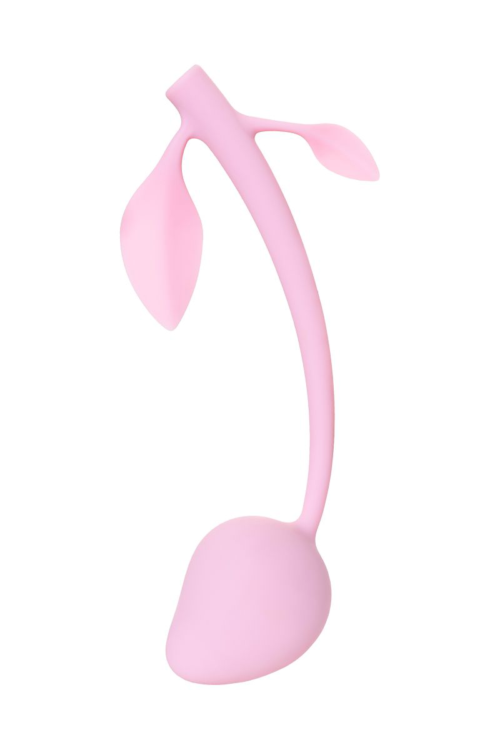 Розовый вагинальный шарик Aster - 0