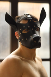 Эффектная маска собаки с металлическими заклепками - 0