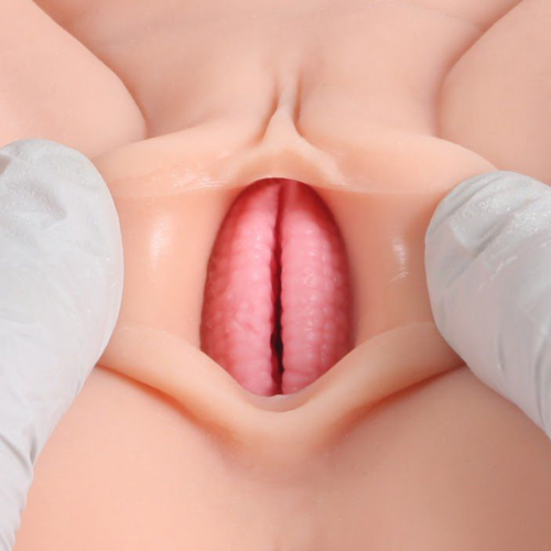 Мастурбатор Victoria с вагиной и анусом без вибрации - 5