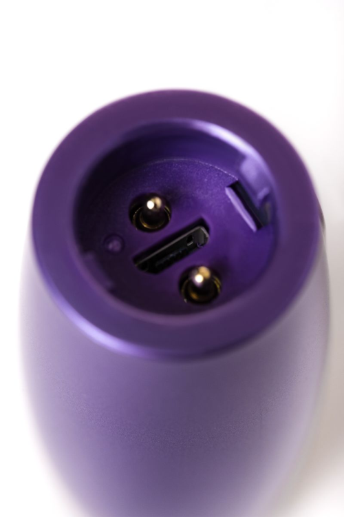Фиолетовый вибратор Le Stelle PERKS SERIES EX-1 с 2 сменными насадками - 12