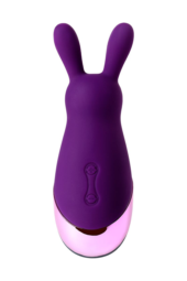 Фиолетовый стимулятор эрогенных зон Eromantica BUNNY - 21,5 см. - 1