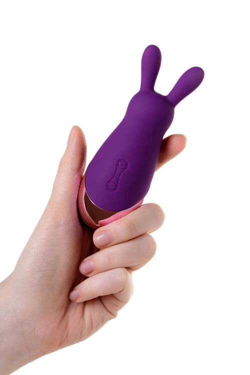 Фиолетовый стимулятор эрогенных зон Eromantica BUNNY - 21,5 см. - 10