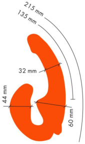 Оранжевый анатомический страпон с вибрацией - 2