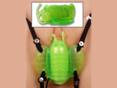 Зеленая бабочка для клитора из силикона - 0