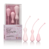 Набор из 3 вагинальных кегель-массажёров разного размера Weighted Silicone Kegel Training Kit - 3