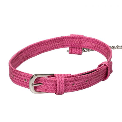 Розовый ошейник с поводком Tickle Me Pink Collar With Leash - 1