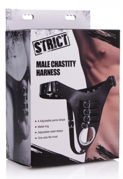 Мужской пояс верности с ремешками Male Chastity Harness - 1