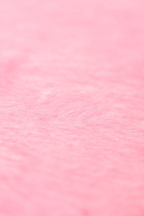 Набор розового цвета для ролевых игр в стиле БДСМ Nasty Girl - 14