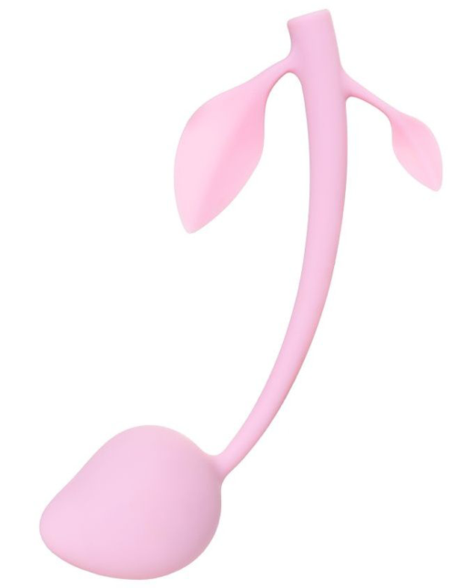 Розовый вагинальный шарик BERRY - 0