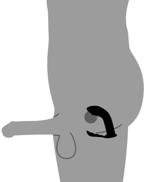 Черный стимулятор простаты Prostate Plug - 14 см. - 5
